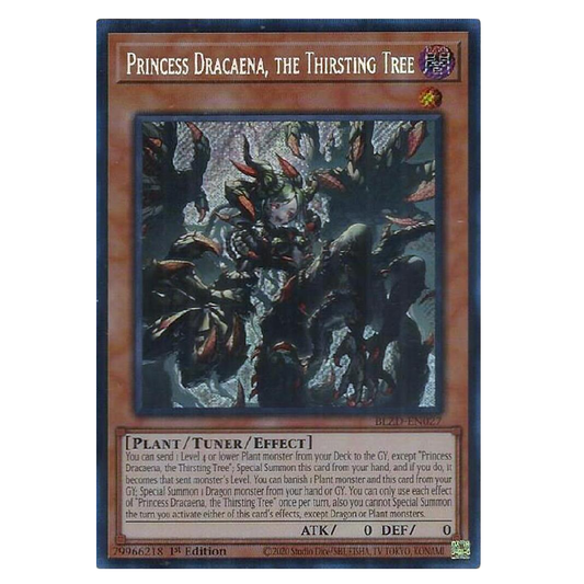 Princess Dracaena, the Thristing Tree - BLZD-EN027 - Secret Rare - 1st Edition
